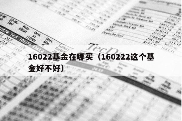 16022基金在哪买（160222这个基金好不好）