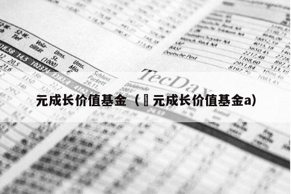 元成长价值基金（䜭元成长价值基金a）
