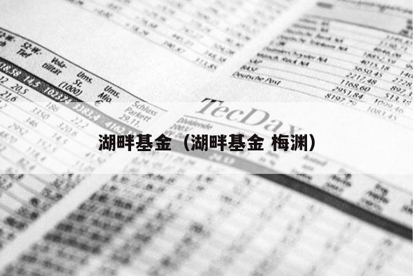 湖畔基金（湖畔基金 梅渊）