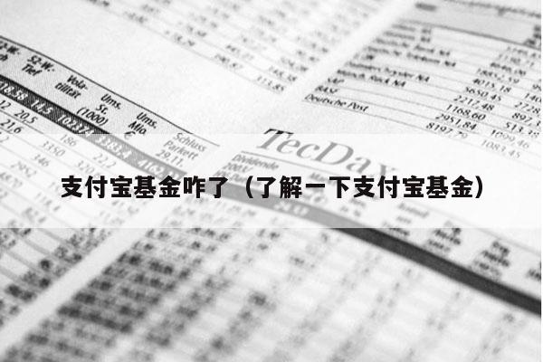 支付宝基金咋了（了解一下支付宝基金）