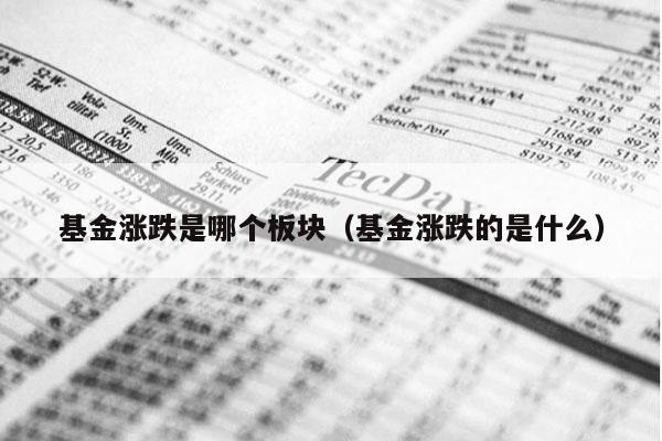 基金涨跌是哪个板块（基金涨跌的是什么）