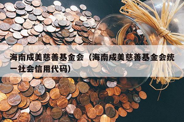 海南成美慈善基金会（海南成美慈善基金会统一社会信用代码）