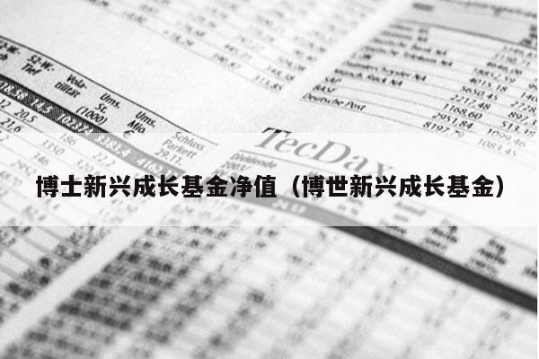 博士新兴成长基金净值（博世新兴成长基金）