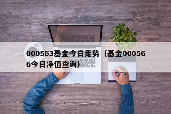 000563基金今日走势（基金000566今日净值查询）