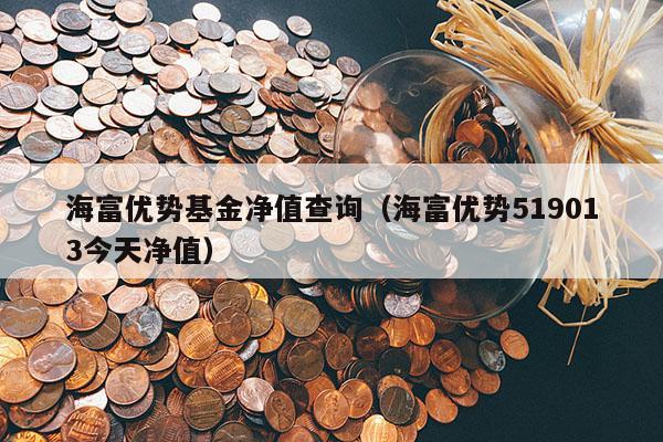 海富优势基金净值查询（海富优势519013今天净值）