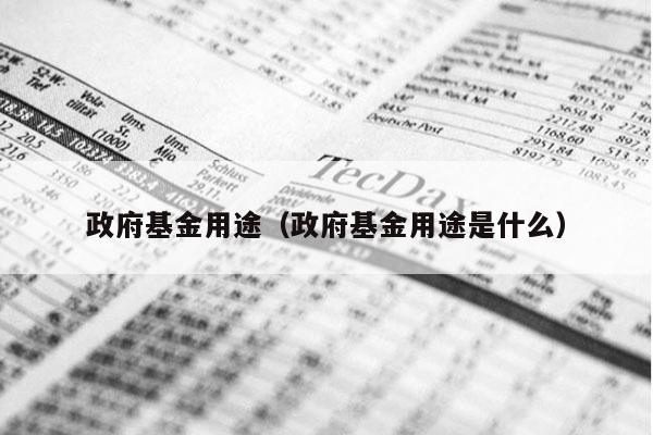 政府基金用途（政府基金用途是什么）