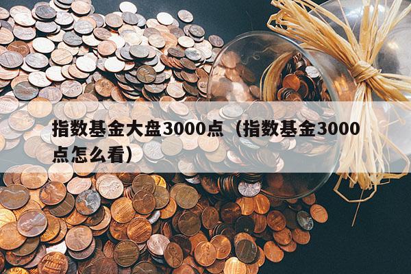 指数基金大盘3000点（指数基金3000点怎么看）