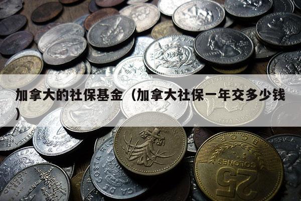 加拿大的社保基金（加拿大社保一年交多少钱）