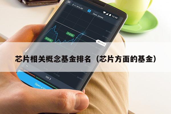 芯片相关概念基金排名（芯片方面的基金）