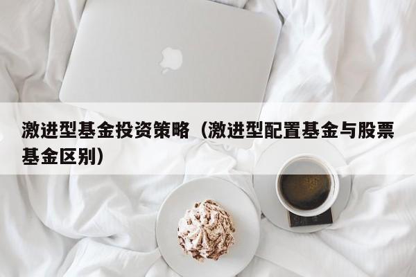 激进型基金投资策略（激进型配置基金与股票基金区别）