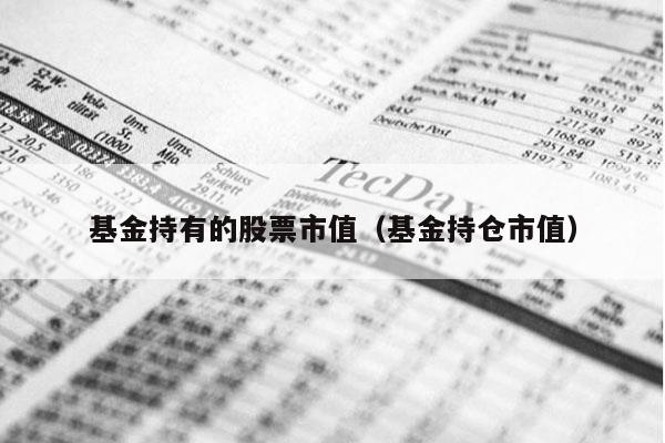 基金持有的股票市值（基金持仓市值）