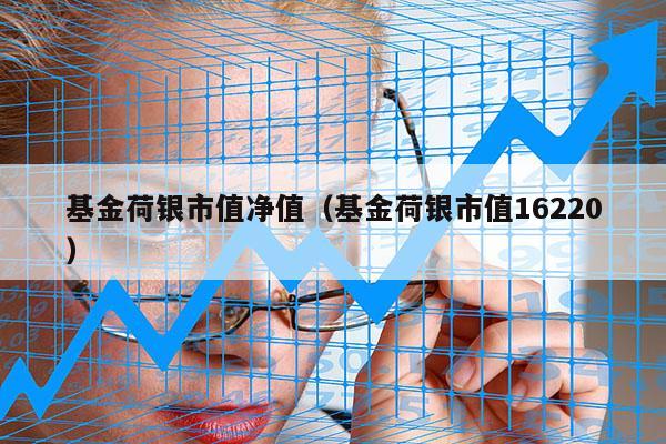 基金荷银市值净值（基金荷银市值16220）