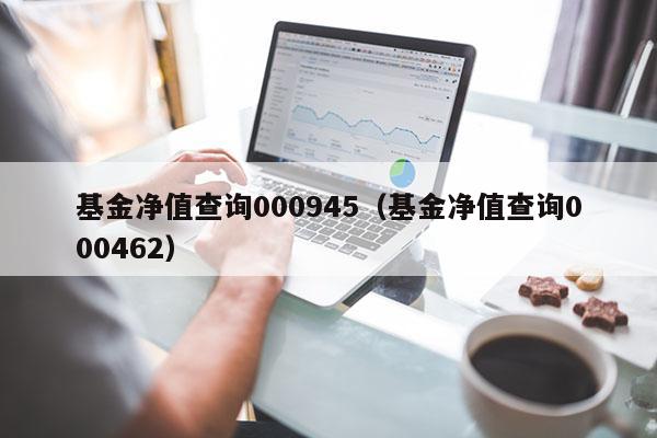 基金净值查询000945（基金净值查询000462）
