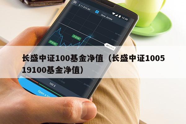 长盛中证100基金净值（长盛中证100519100基金净值）