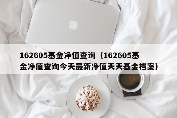 162605基金净值查询（162605基金净值查询今天最新净值天天基金档案）