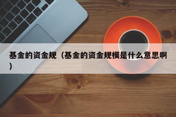 基金的资金规（基金的资金规模是什么意思啊）