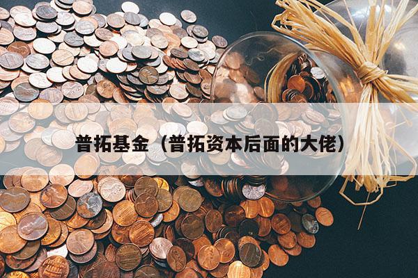 普拓基金（普拓资本后面的大佬）