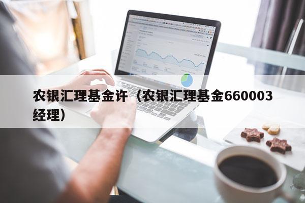 农银汇理基金许（农银汇理基金660003经理）