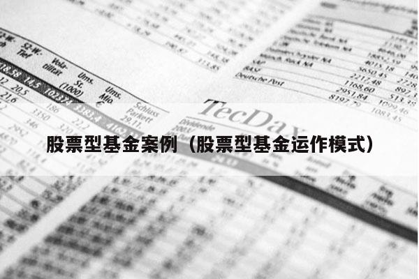股票型基金案例（股票型基金运作模式）