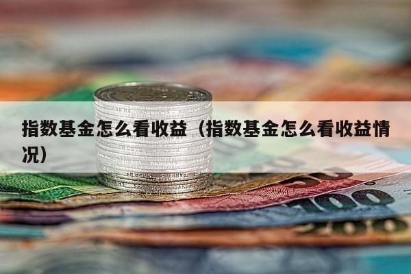 指数基金怎么看收益（指数基金怎么看收益情况）