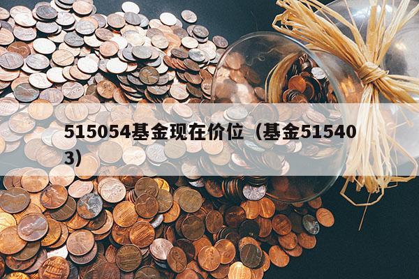 515054基金现在价位（基金515403）