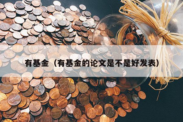 有基金（有基金的论文是不是好发表）