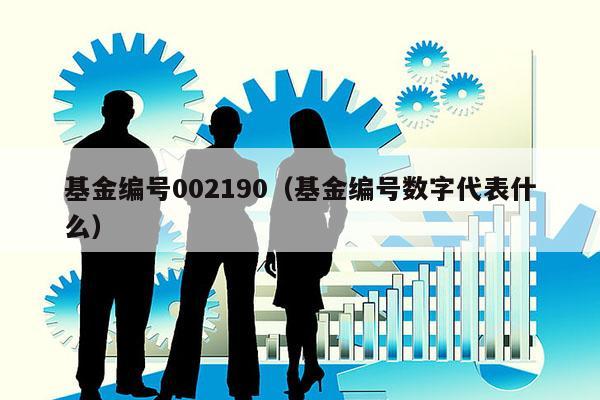 基金编号002190（基金编号数字代表什么）