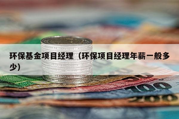 环保基金项目经理（环保项目经理年薪一般多少）