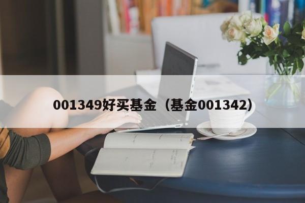 001349好买基金（基金001342）