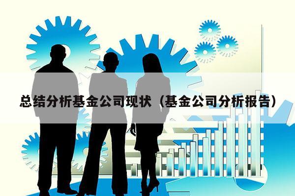 总结分析基金公司现状（基金公司分析报告）