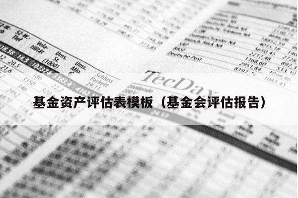 基金资产评估表模板（基金会评估报告）