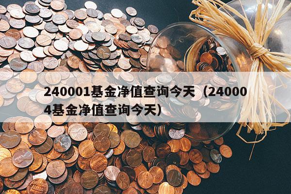 240001基金净值查询今天（240004基金净值查询今天）