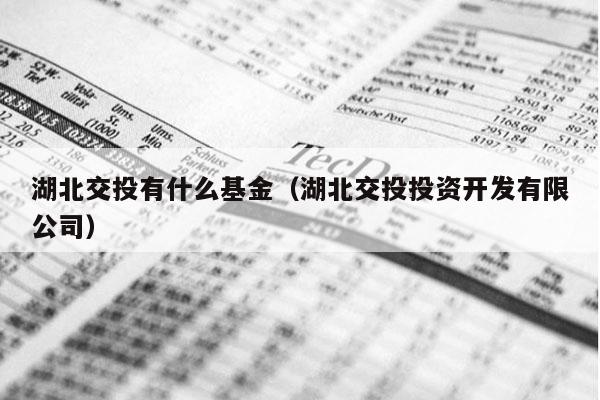 湖北交投有什么基金（湖北交投投资开发有限公司）