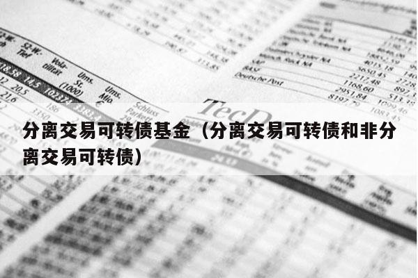 分离交易可转债基金（分离交易可转债和非分离交易可转债）