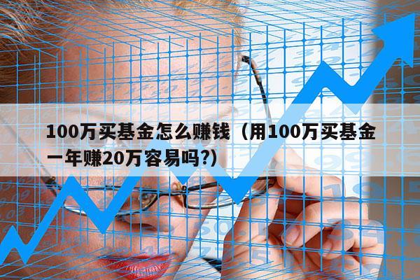 100万买基金怎么赚钱（用100万买基金一年赚20万容易吗?）