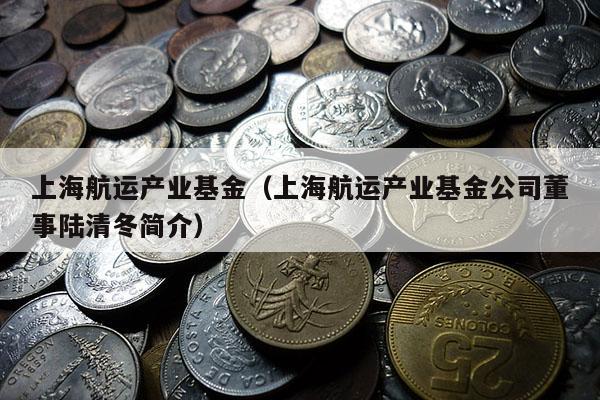上海航运产业基金（上海航运产业基金公司董事陆清冬简介）