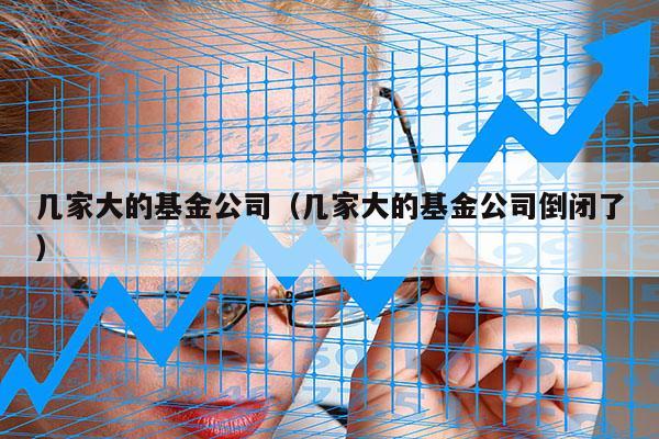 几家大的基金公司（几家大的基金公司倒闭了）