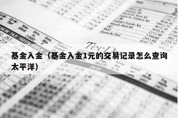 基金入金（基金入金1元的交易记录怎么查询太平洋）