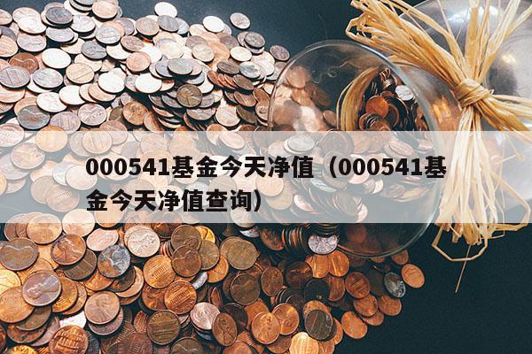 000541基金今天净值（000541基金今天净值查询）