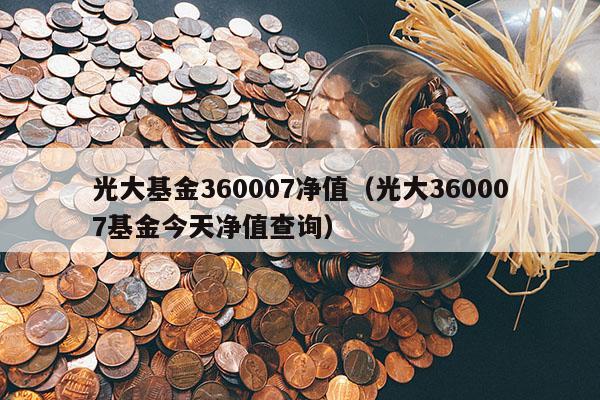 光大基金360007净值（光大360007基金今天净值查询）