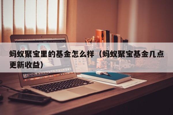 蚂蚁聚宝里的基金怎么样（蚂蚁聚宝基金几点更新收益）
