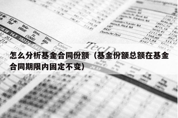 怎么分析基金合同份额（基金份额总额在基金合同期限内固定不变）