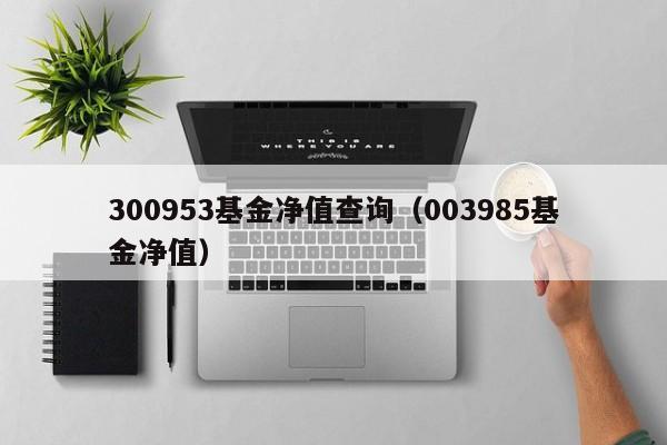 300953基金净值查询（003985基金净值）