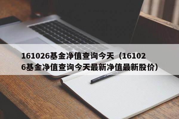 161026基金净值查询今天（161026基金净值查询今天最新净值最新股价）