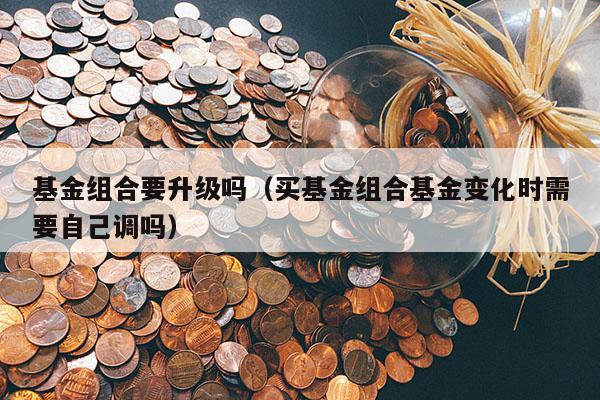 基金组合要升级吗（买基金组合基金变化时需要自己调吗）