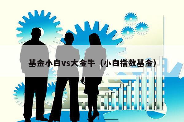 基金小白vs大金牛（小白指数基金）