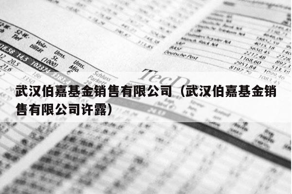 武汉伯嘉基金销售有限公司（武汉伯嘉基金销售有限公司许露）