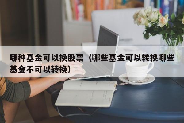 哪种基金可以换股票（哪些基金可以转换哪些基金不可以转换）