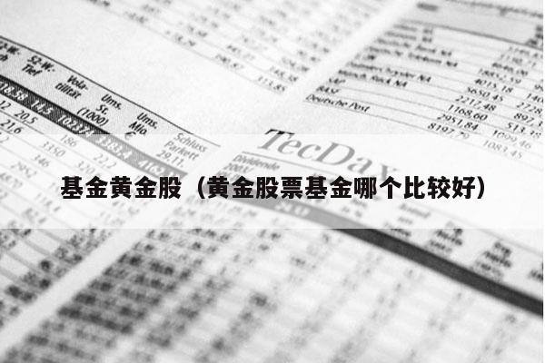 基金黄金股（黄金股票基金哪个比较好）