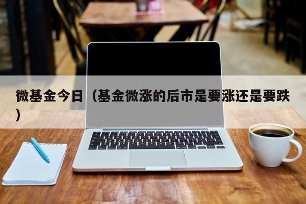 微基金今日（基金微涨的后市是要涨还是要跌）